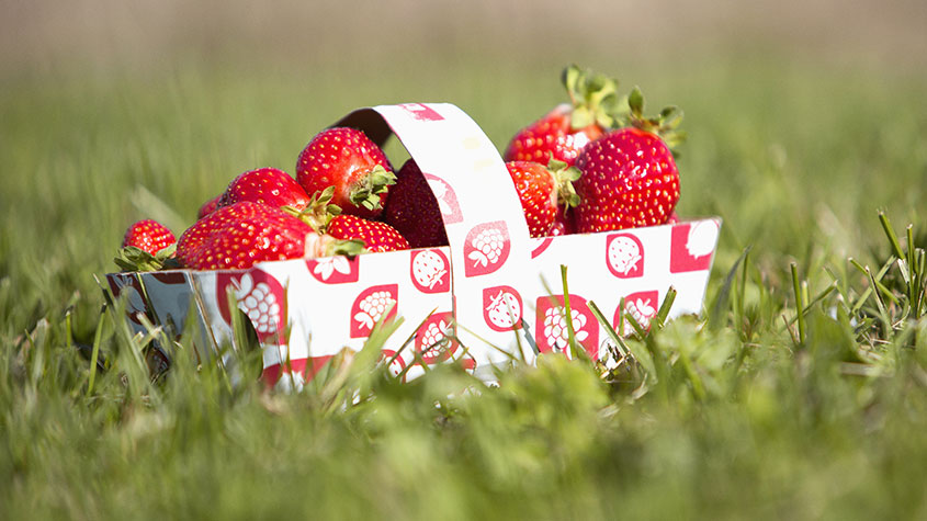 Cascades basket for strawberry and fruits 