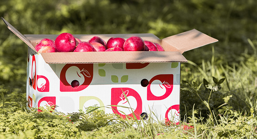 Cascades die-cut corrugated box for fruits and vegetables