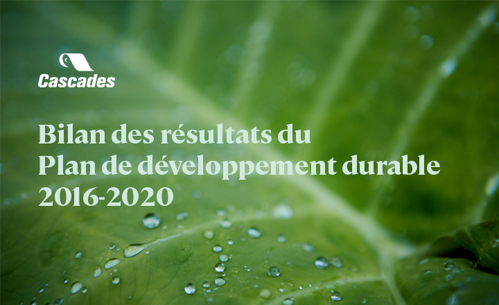 cascades-metrio-developpement-durable