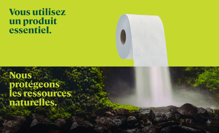 split-chute-papier-toilette-dd-cascades