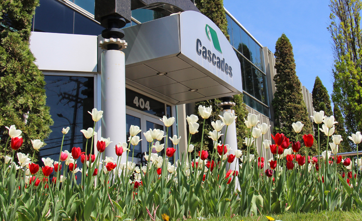 Head-office-cascades-tulipe-2020