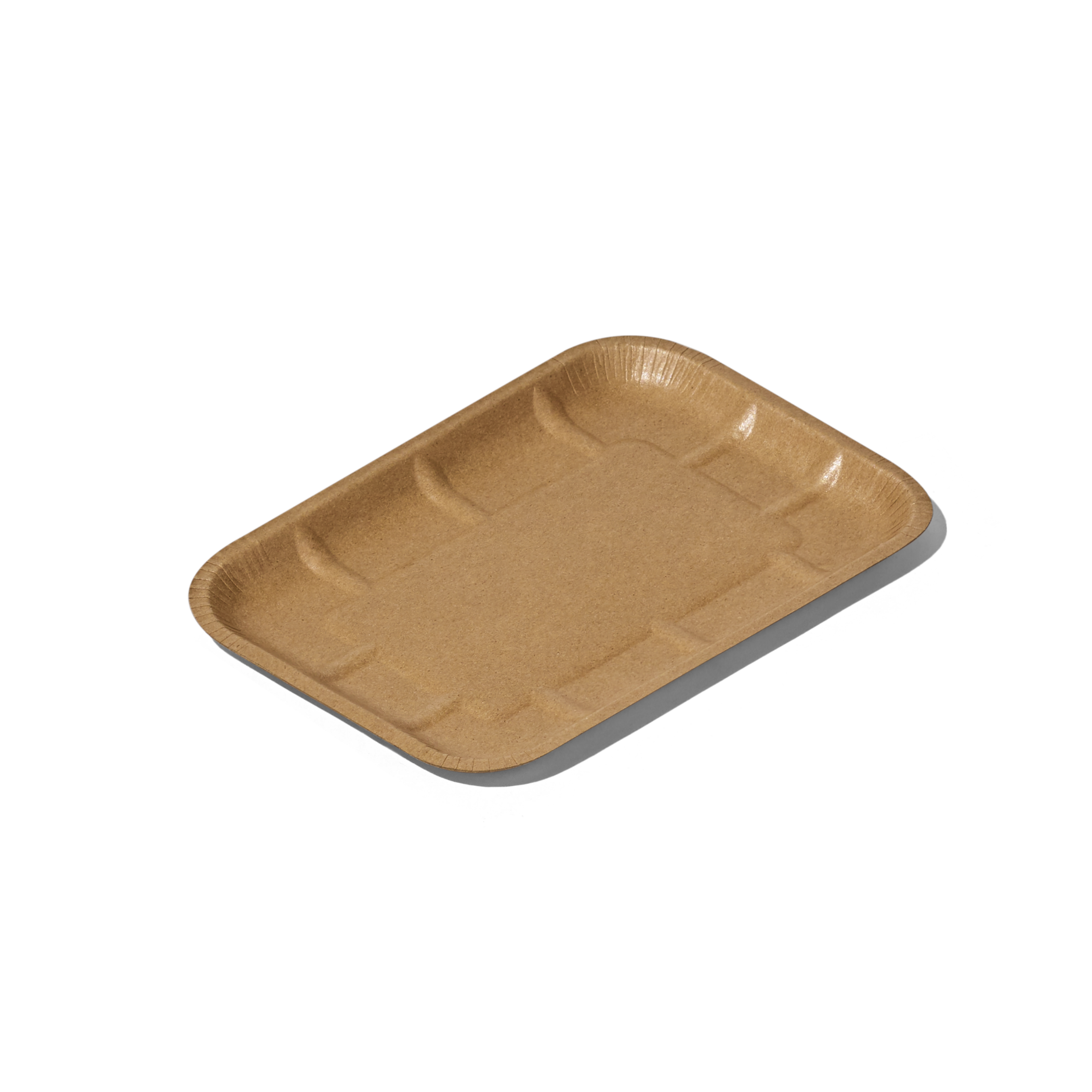 Disposable Food Trays: Lunch Trays, Packaging Trays, & More
