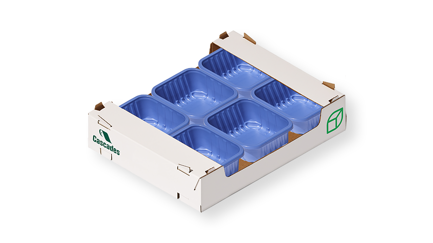 Corrugated trays LDPET