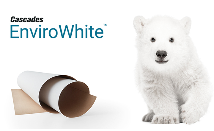 cascades-linerboard-envirowhite