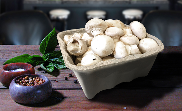 barquette pate moulee recyclee recyclable champignons