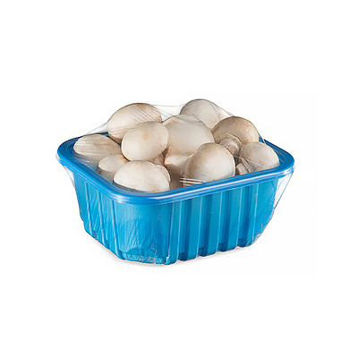 blue-black-plastic-mushrooms-container