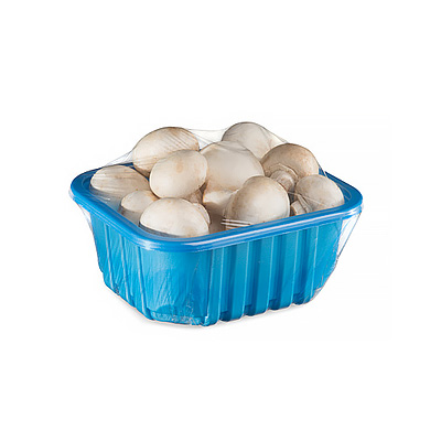 contenant plastique bleu noir champignons
