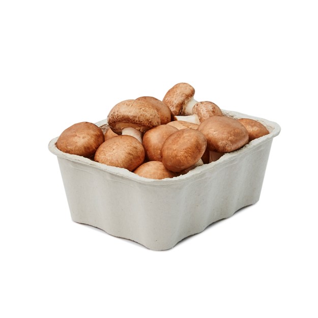contenant-pate-moulee-champignons-Cascades