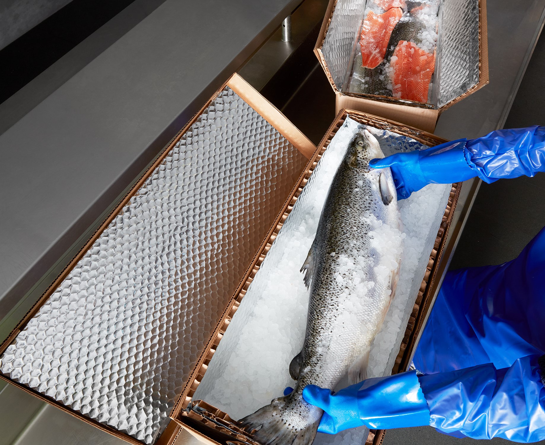 box to keep ocean products fresh