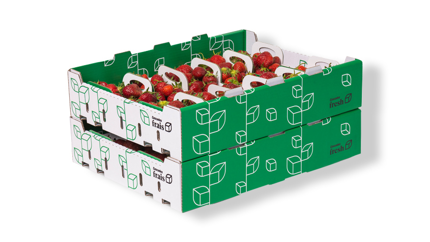 Suplier cardboard packaging for market gardeners 