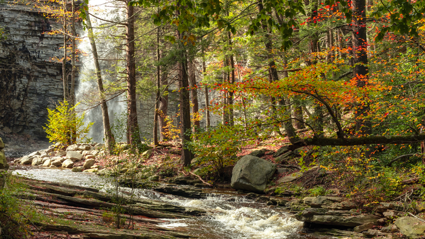 Cascades ne coupe aucun arbre