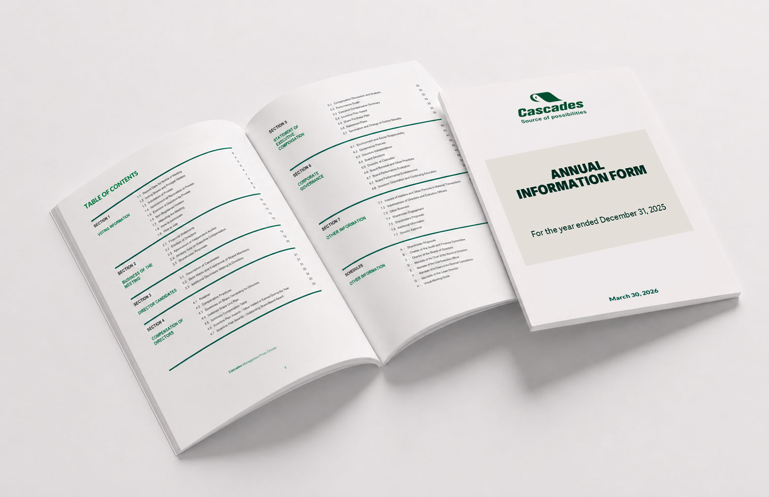 Annual Information Form 2025