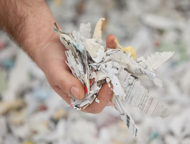 Shredding of office paper for recycling