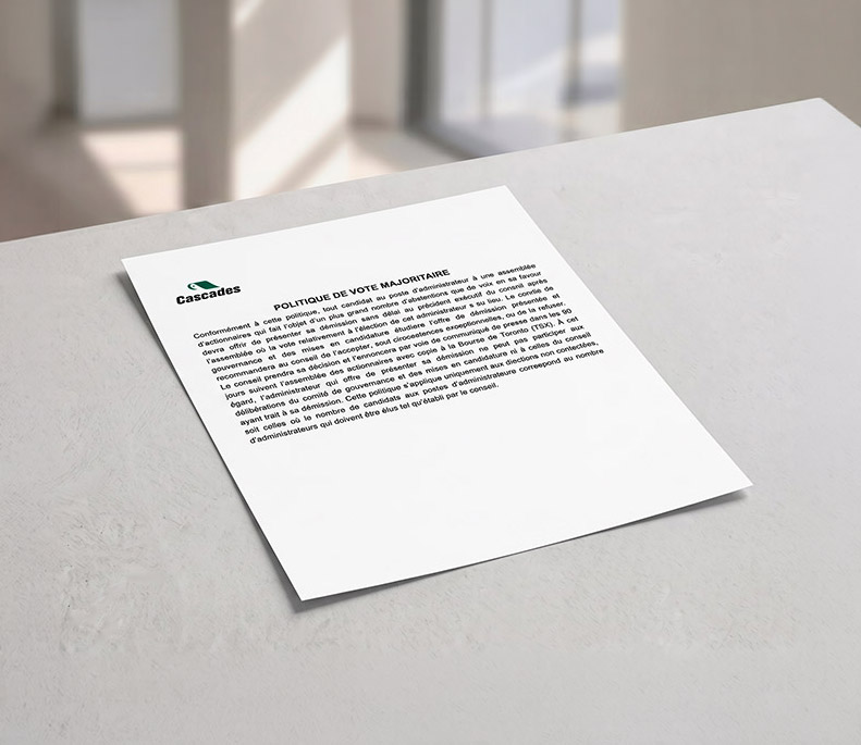 Cover of Majority Voting Policy document