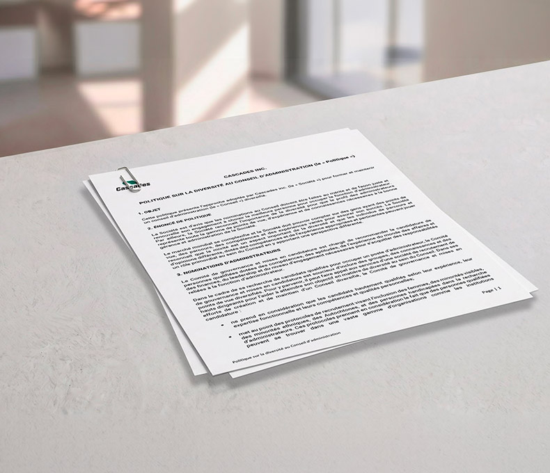 Cover of Board Diversity Policy