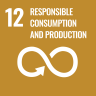 ONU - 12 Responsible Consumptionn and Production