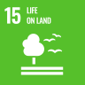 ONU -  15 Life on Land