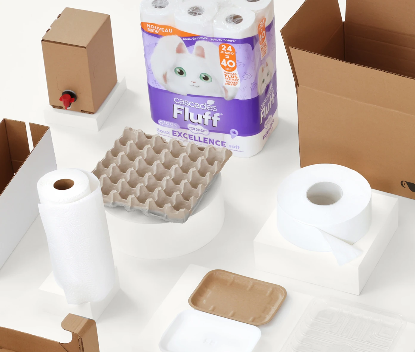 Assortiment de produits écoconçus incluant emballages en carton, contenants moulés et produits de papier tissu durables.