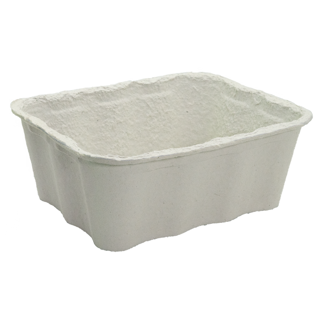 mushroom moulded pulp tray