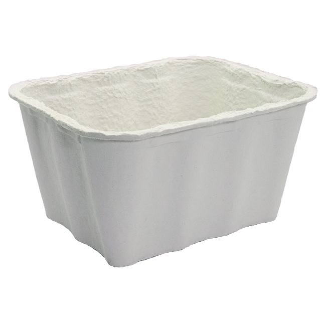mushroom moulded pulp container