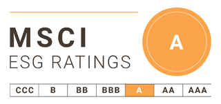 logo msci esg investisseurs