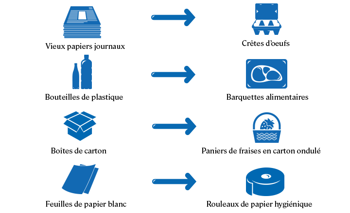 entreprise-circulaire-developpement-durable