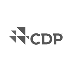 logo cdp