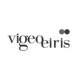 logo vigeo eiris