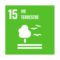 objectif developpement durable 15