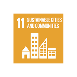 sustainable development goal 11