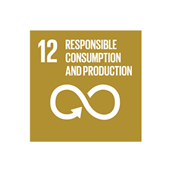 sustainable development goal 12