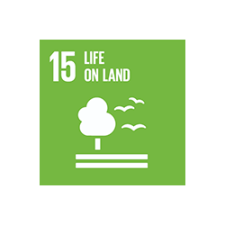 sustainable development goal 15