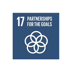 sustainable development goal 17