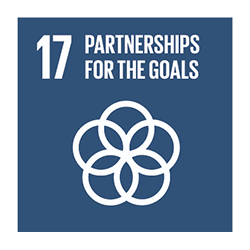 sustainable development goal 17