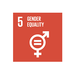 sustainable development goal 5