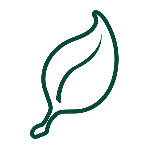 icon d'une feuille environnemental