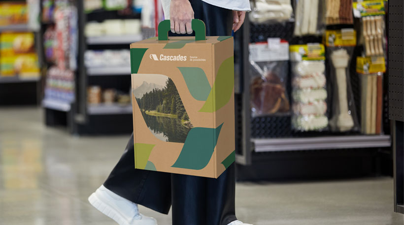 Cascades printed cardboard display stand