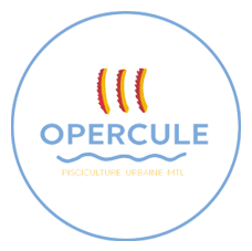Logo opercule transparent