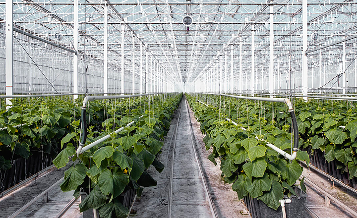 Les Serres Toundra greehouse Les Serres Toundra greehouse
