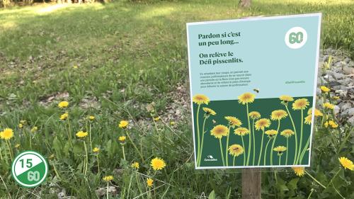 geste-15-defi-pissenlits.jpg